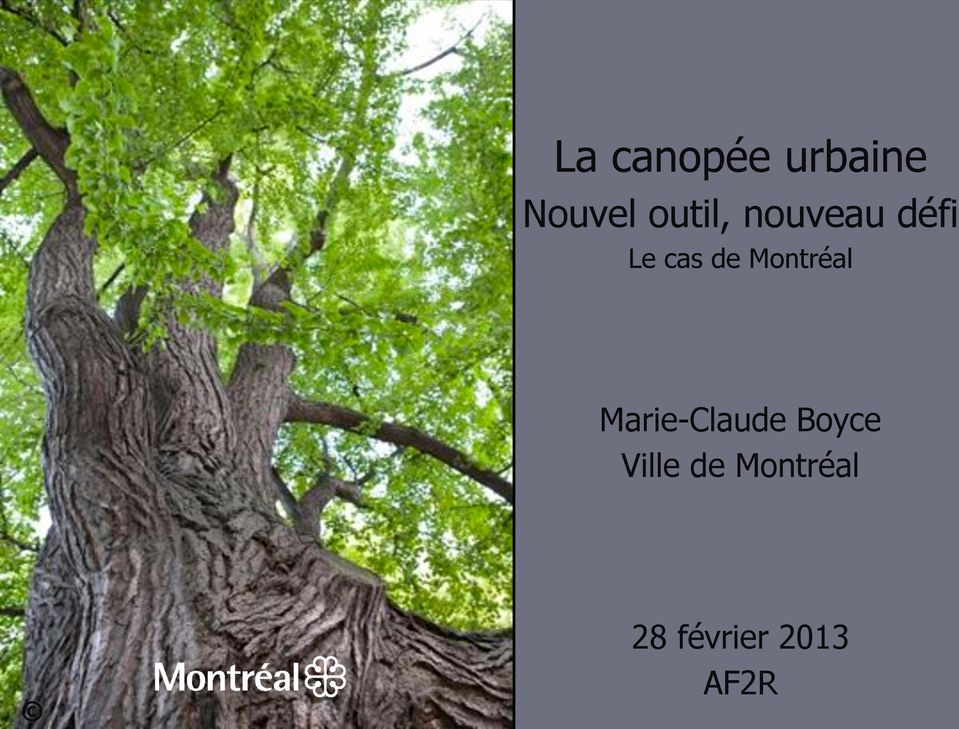 Montréal Marie-Claude Boyce