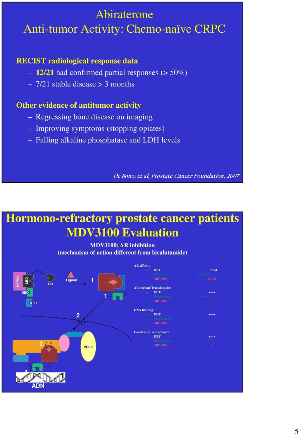 Hormono-refractory prostate cancer patients MDV3100 Evaluation MDV3100: AR inhibition (mechanism of action different from bicalutamide) HSP90 LBD DBD NTD HD Ligand 1 1 AR affinity DHT ~5nM