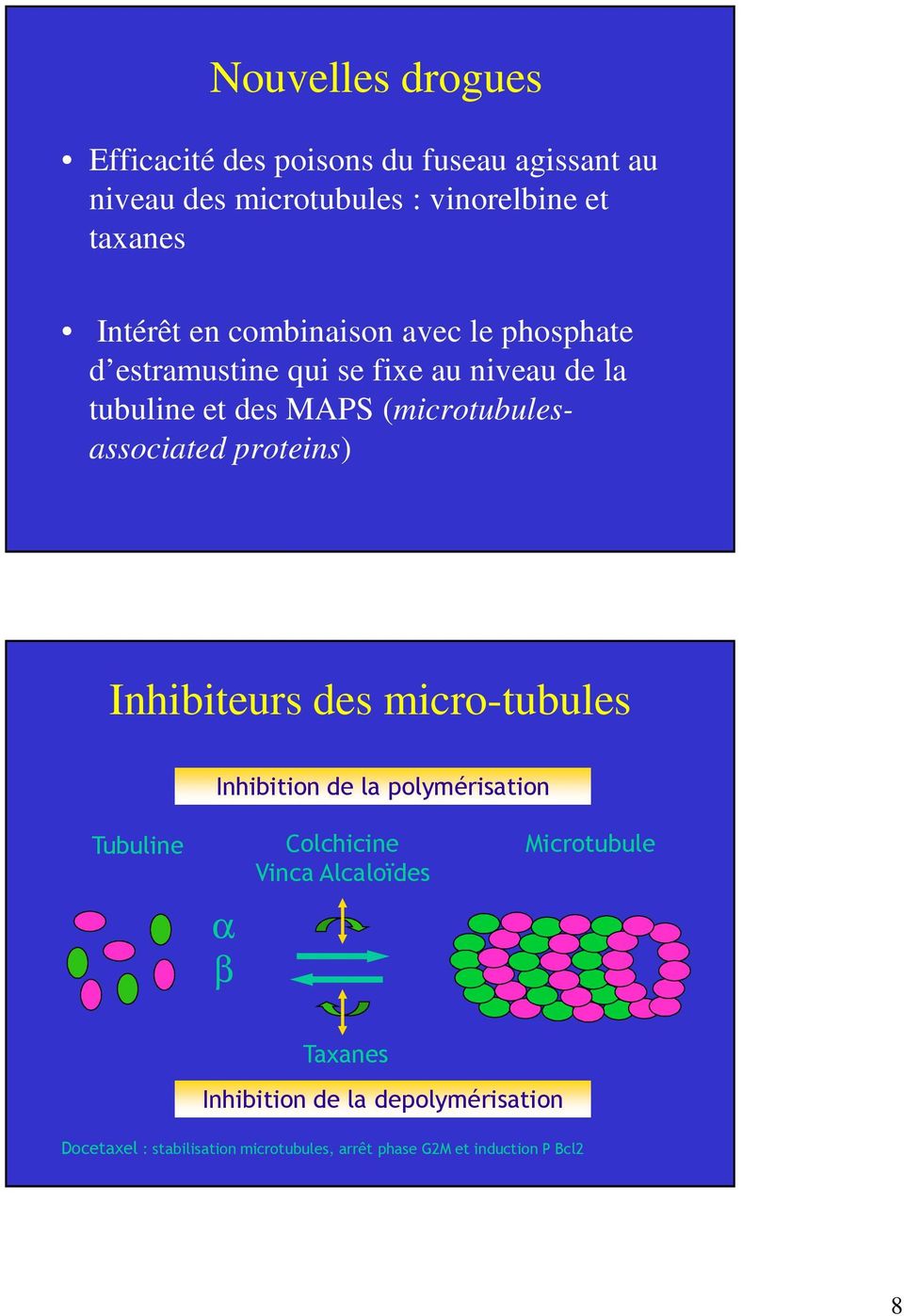 proteins) Inhibiteurs des micro-tubules Inhibition de la polymérisation Tubuline α β Colchicine Vinca Alcaloïdes