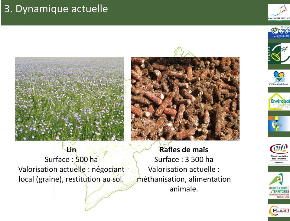 Lin de France cercleco Rafles de maïs Surface : 3 500 ha
