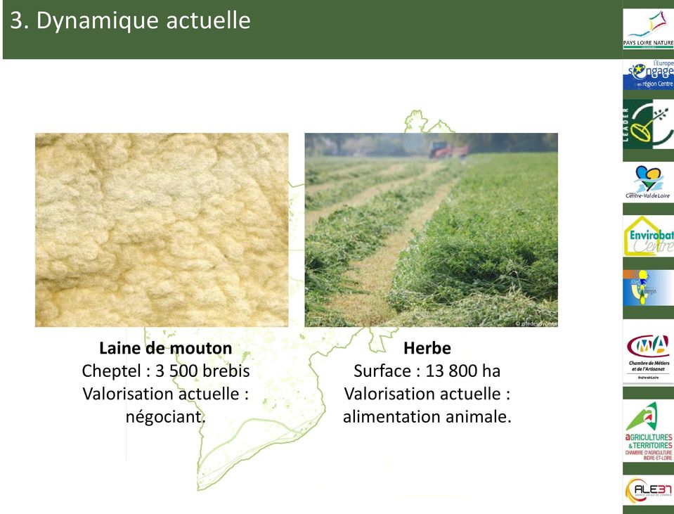 boutolleau gitedesglycines Herbe Surface : 13
