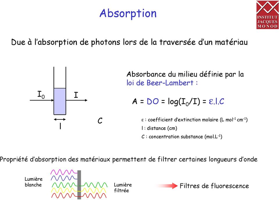 loi de Beer-Lambert : A = DO = log(i 0 /I) = ε.l.c l C ε : coefficient d extinction molaire (L mol -1 cm