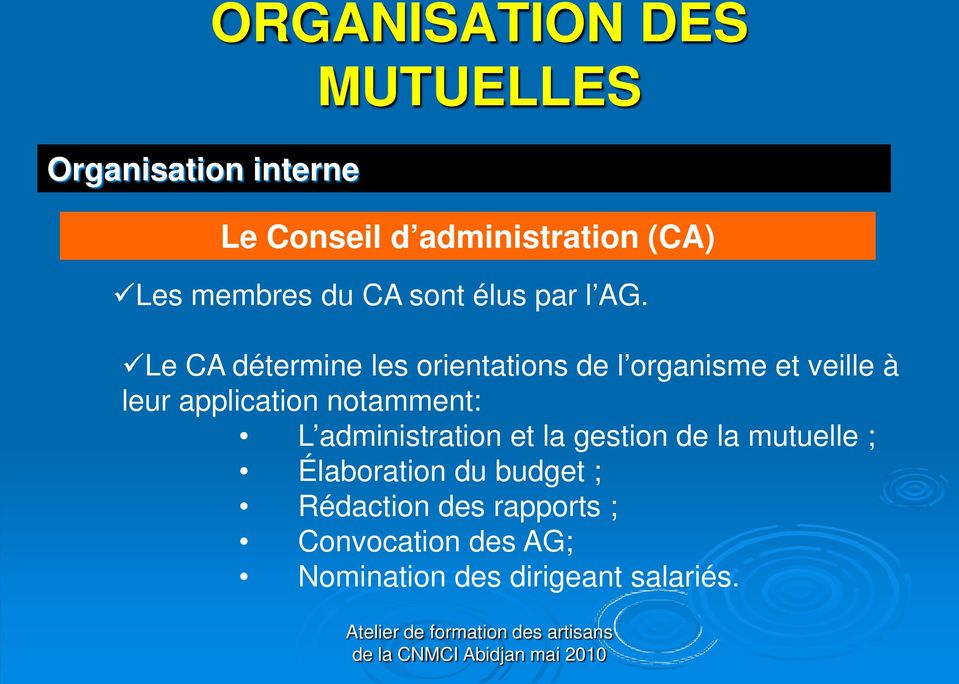 Le CA détermine les orientations de l organisme et veille à leur application notamment: L