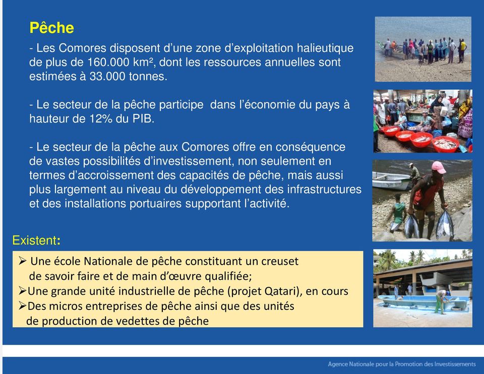 - Le secteur de la pêche aux Comores offre en conséquence de vastes possibilités d investissement, non seulement en termes d accroissement des capacités de pêche, mais aussi plus largement au