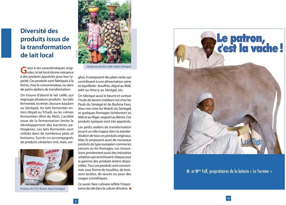On trouve d abord le lait caillé, qui regroupe plusieurs produits : les laits fermentés écrémés (kossam kaadam au Sénégal), les laits fermentés entiers (Rayeb au Tchad), ou les crèmes fermentées