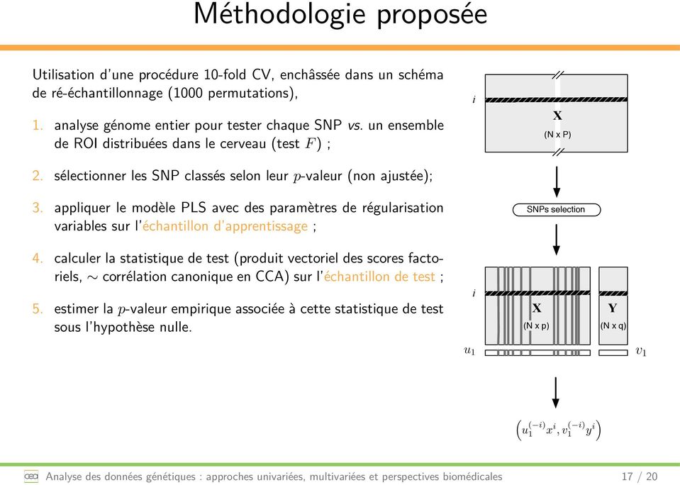 appliquer le modèle PLS avec des paramètres de régularisation variables sur l échantillon d apprentissage ; SNPs selection 4.