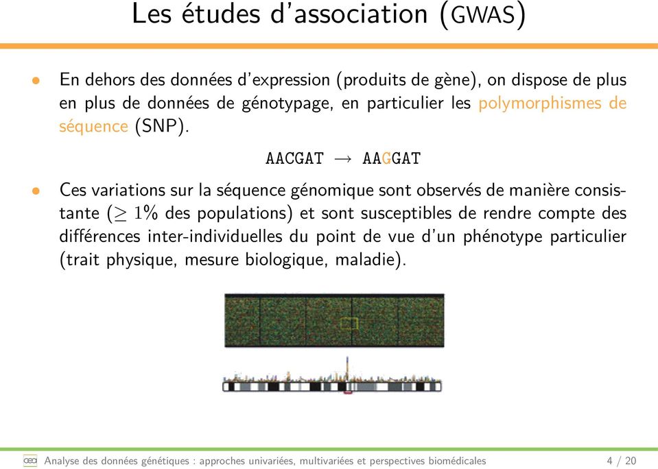 AACGAT AAGGAT Ces variations sur la séquence génomique sont observés de manière consistante ( 1% des populations) et sont susceptibles de