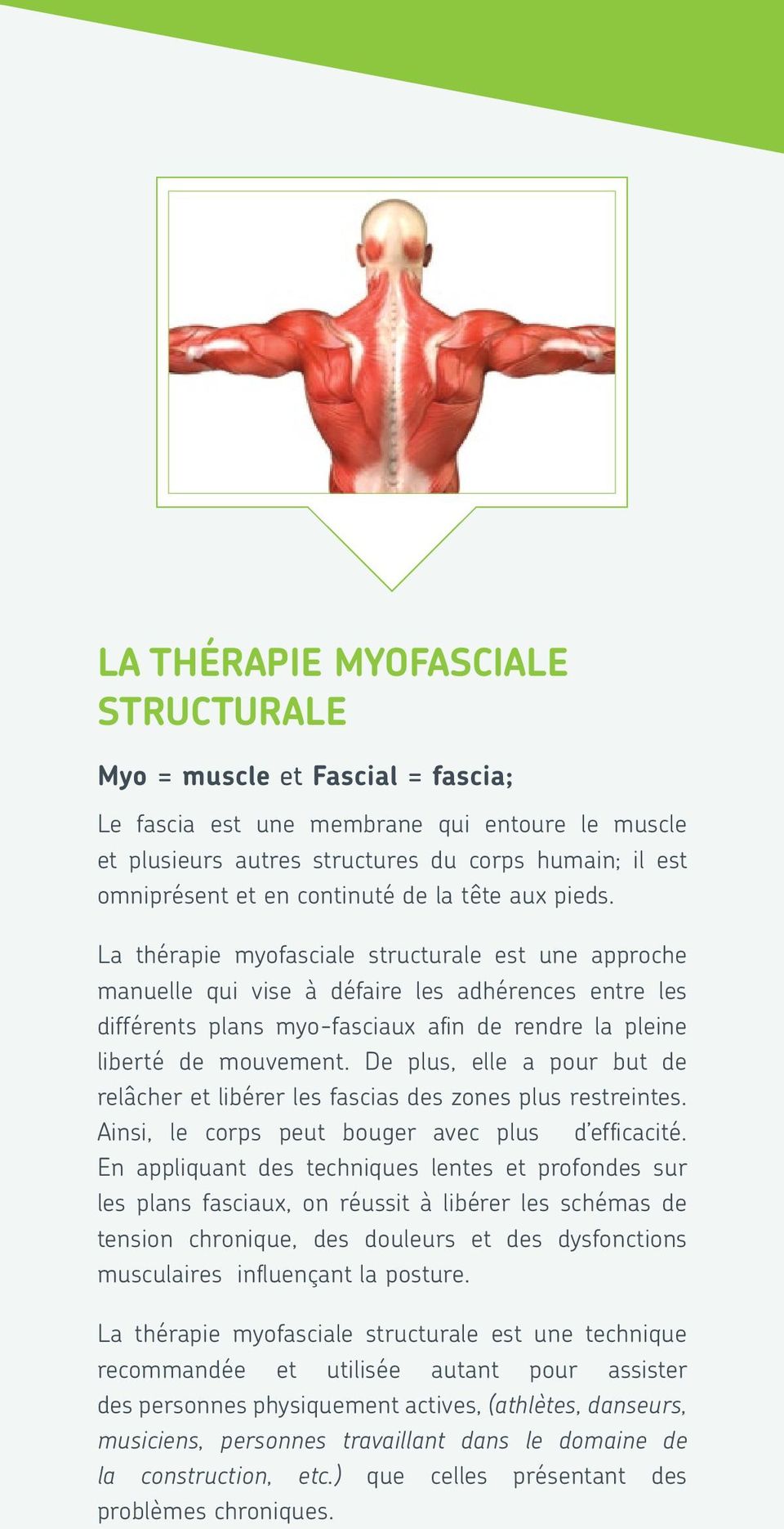 La thérapie myofasciale structurale est une approche manuelle qui vise à défaire les adhérences entre les différents plans myo-fasciaux afin de rendre la pleine liberté de mouvement.