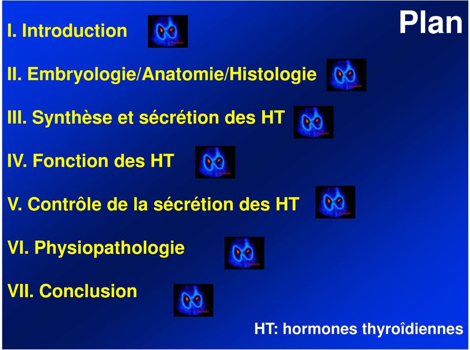 Synthèse et sécrétion des HT IV. Fonction des HT V.
