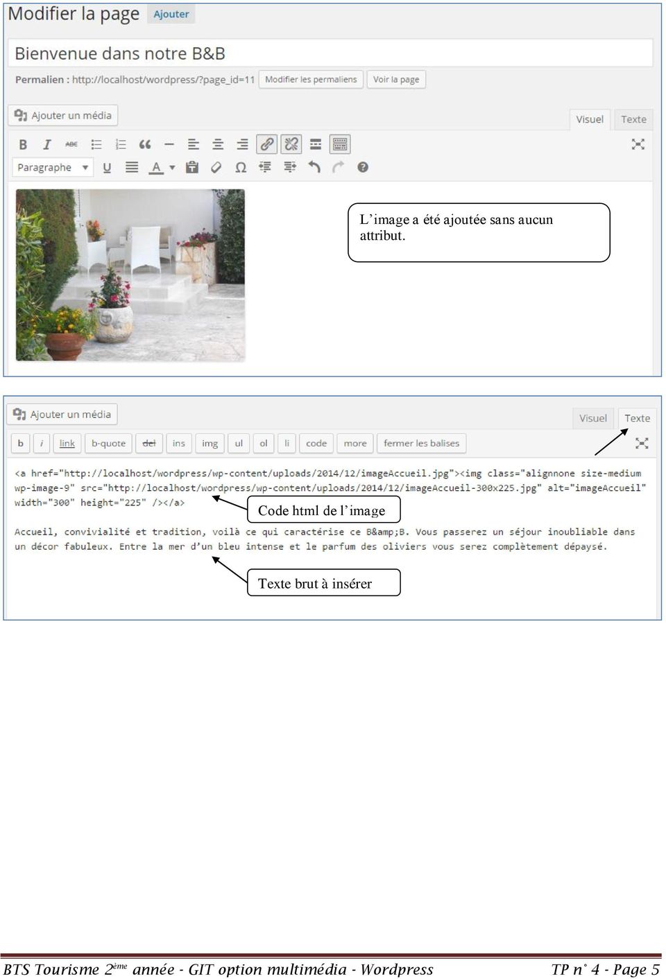 Code html de l image Texte brut à
