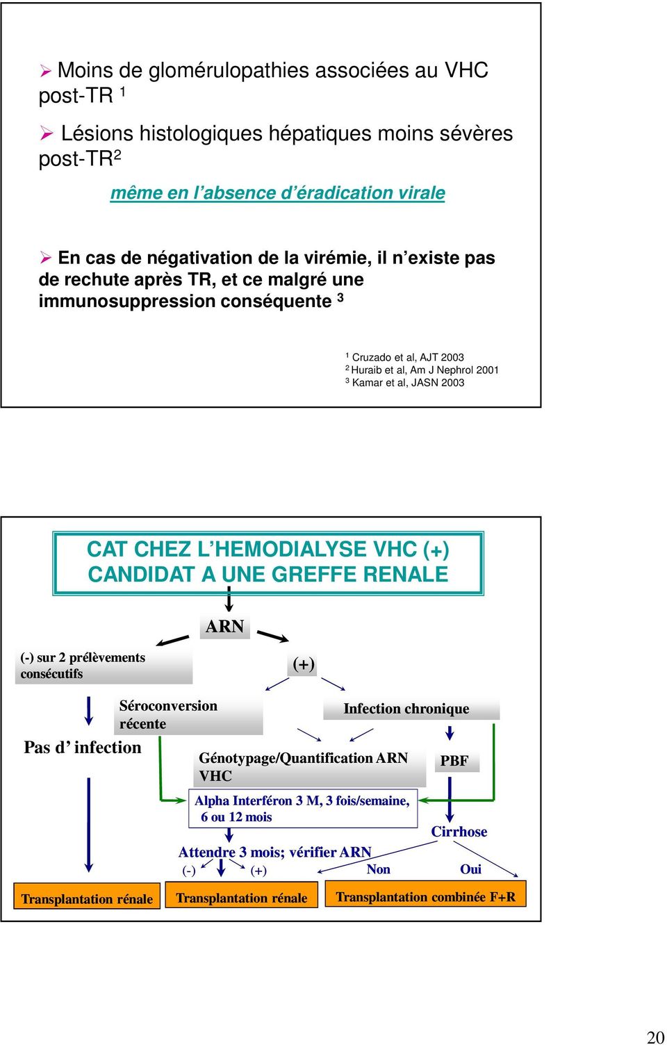 CHEZ L HEMODIALYSE VHC (+) CANDIDAT A UNE GREFFE RENALE ARN (-) sur 2 prélèvements consécutifs (+) Pas d infection Séroconversion récente Infection chronique Génotypage/Quantification