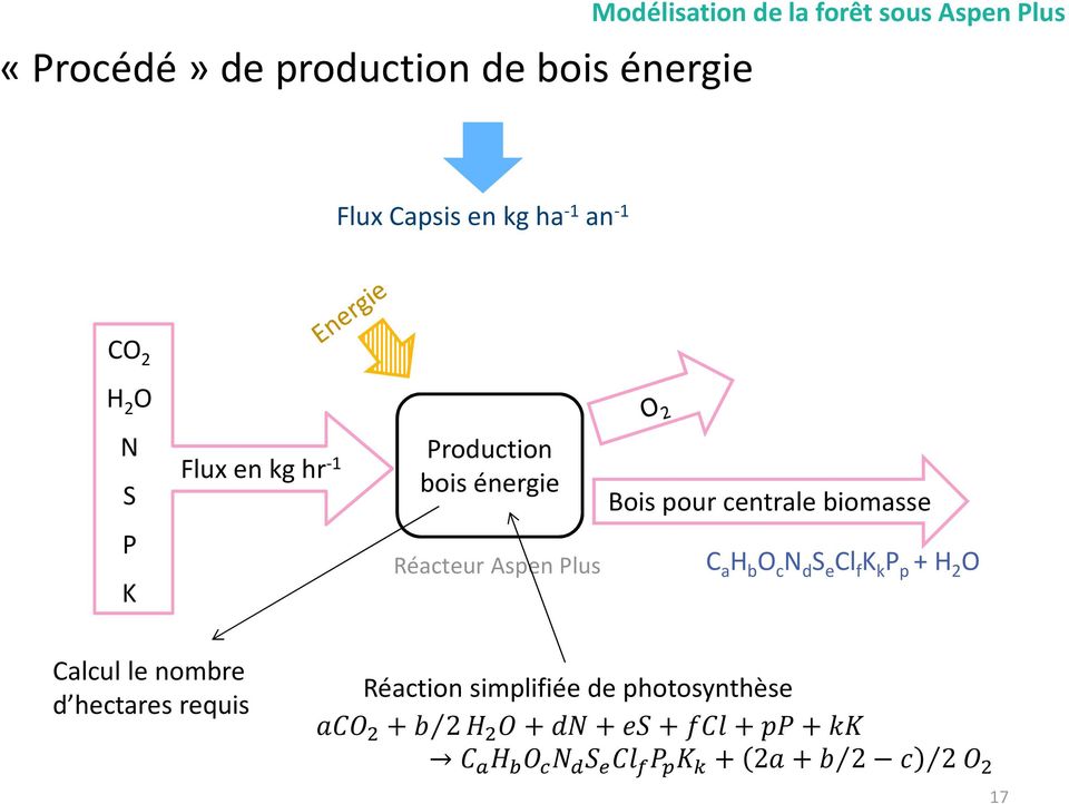 Bois pour centrale biomasse Réacteur Aspen lus C a H b O c d e Cl f k p + H 2 O
