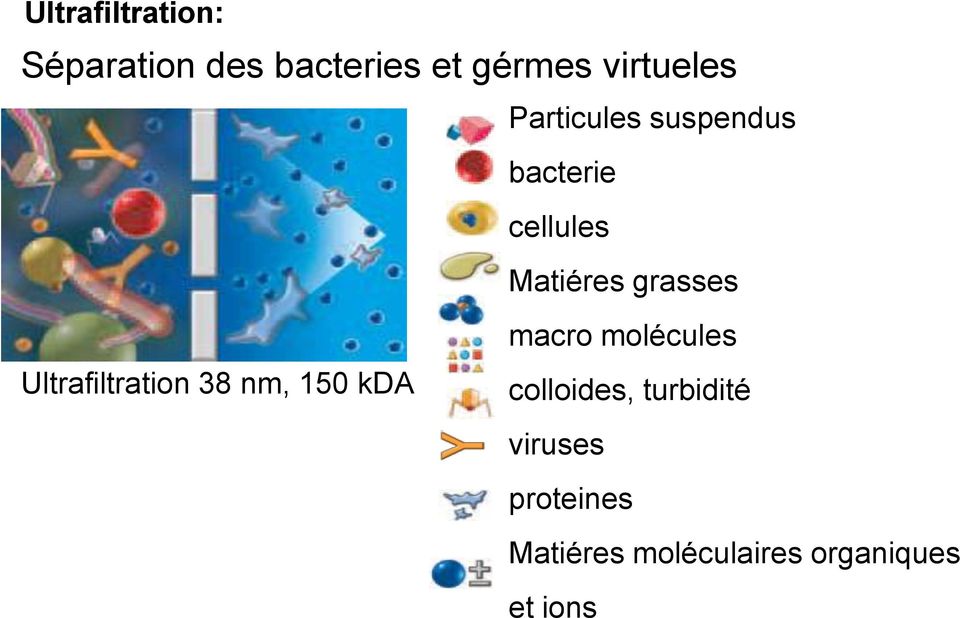 grasses macro molécules Ultrafiltration 38 nm, 150 kda