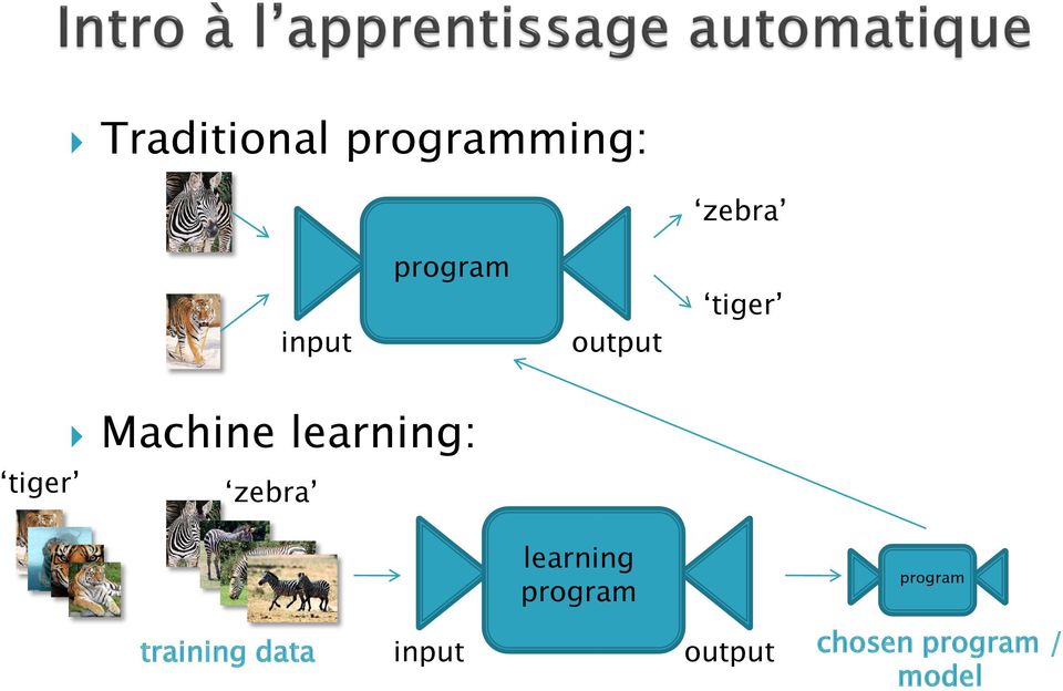 learning: zebra learning program program