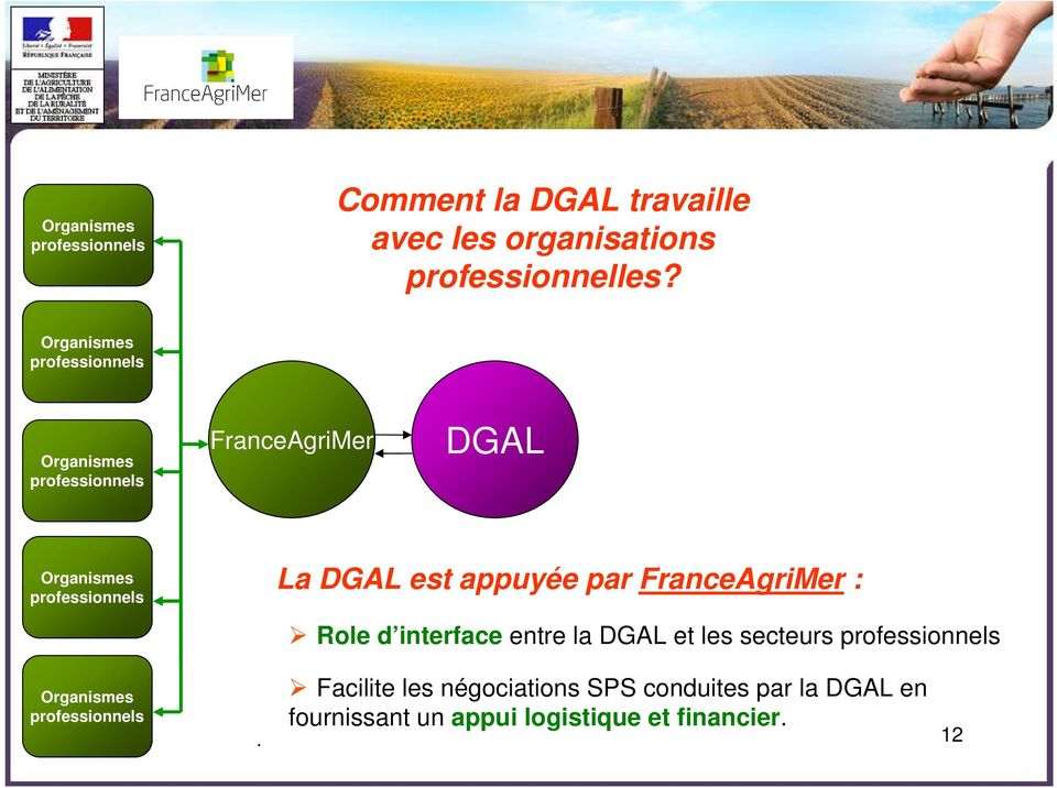 est appuyée par FranceAgriMer : Role d interface entre la DGAL et les secteurs professionnels Organismes