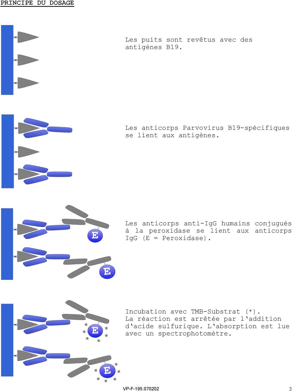 Les anticorps anti-igg humains conjugués à la peroxidase se lient aux anticorps IgG (E =
