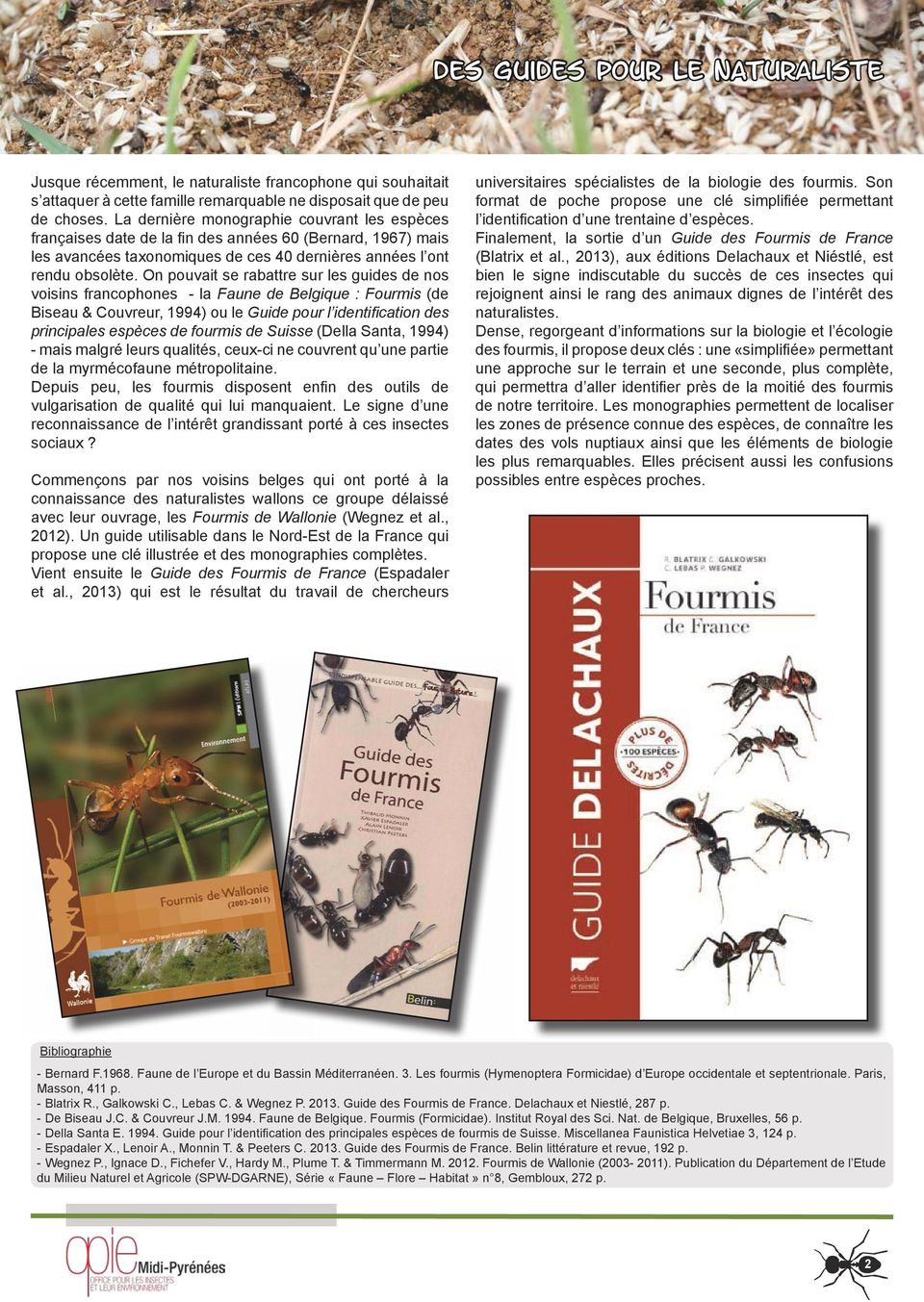 On pouvait se rabattre sur les guides de nos voisins francophones - la Faune de Belgique : Fourmis (de Biseau & Couvreur, 1994) ou le Guide pour l identification des principales espèces de fourmis de