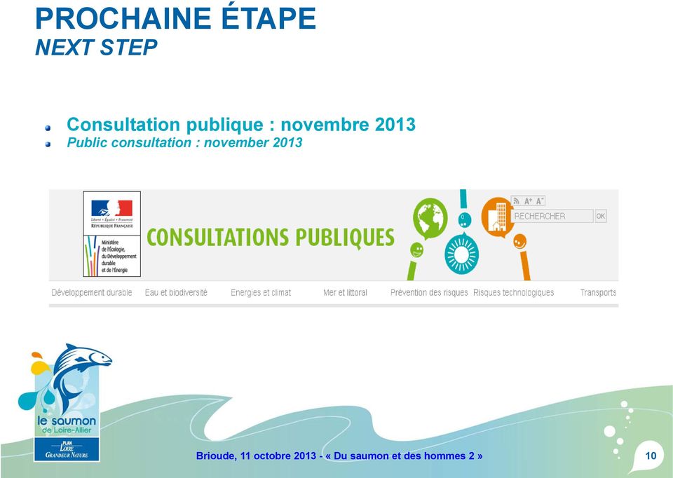 consultation : november 2013 Brioude,