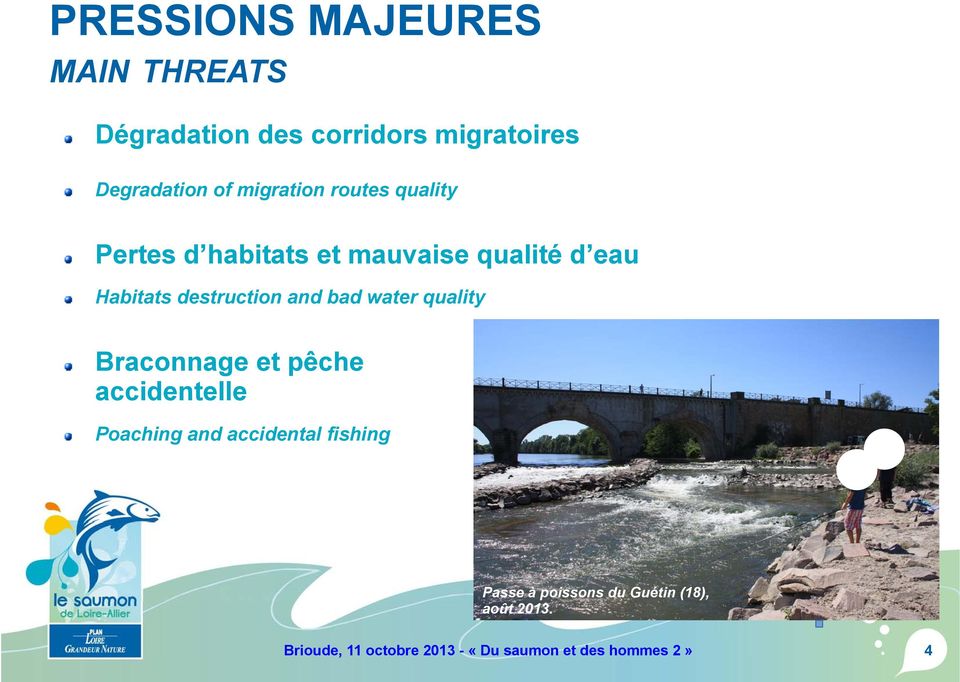 and bad water quality Braconnage et pêche accidentelle Poaching and accidental fishing