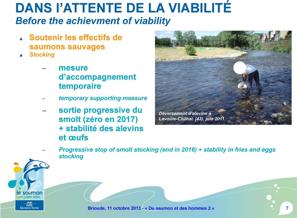 + stabilité des alevins et œufs Déversement d alevins à Lavoûte-Chilhac (43), juin 2011.