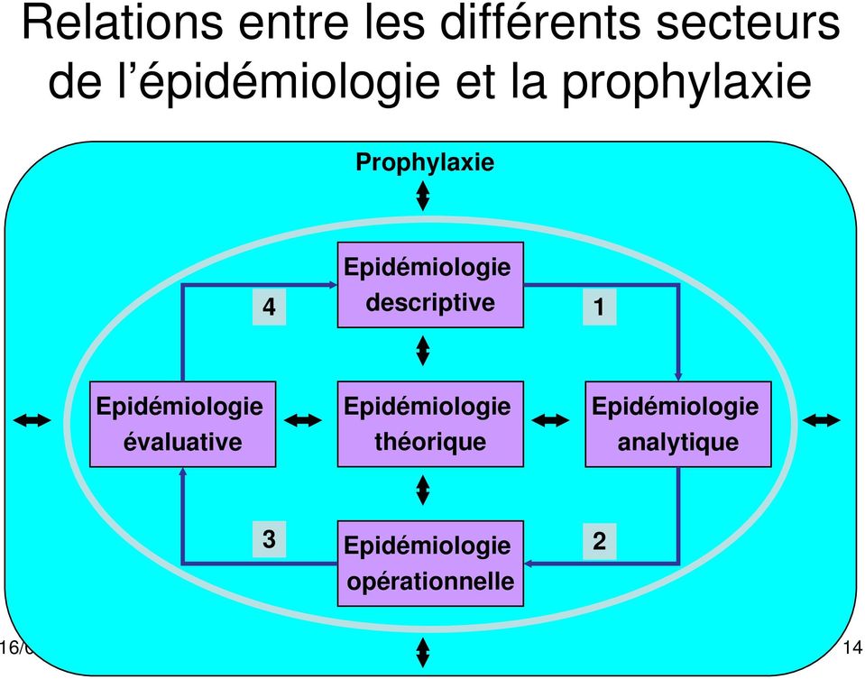 Epidémiologie évaluative Epidémiologie théorique Epidémiologie