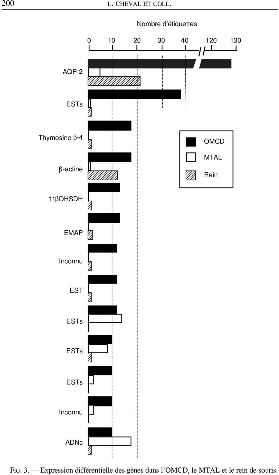 β-4 β-actine OMCD MTAL Rein 11βOHSDH EMAP Inconnu EST ESTs ESTs