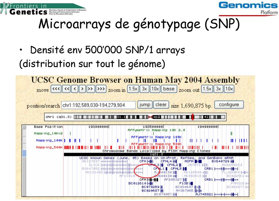 env 500 000 SNP/1 arrays