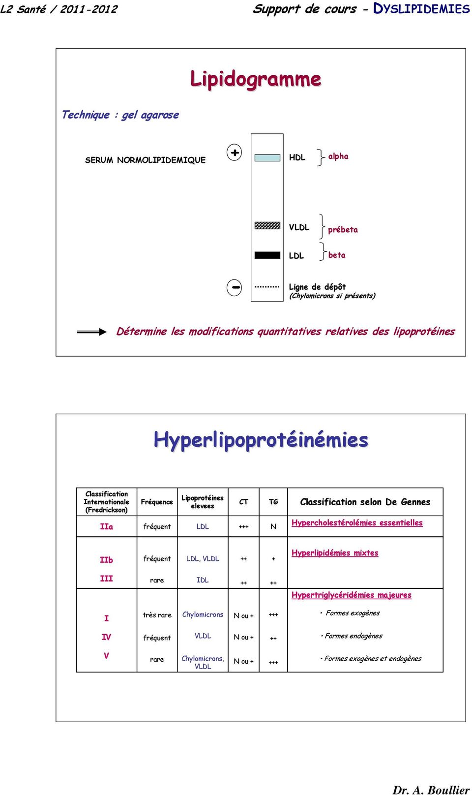 Classification selon De Gennes IIa fréquent +++ N Hypercholestérolémies essentielles IIb fréquent, V ++ + Hyperlipidémies mixtes III rare IDL ++ ++