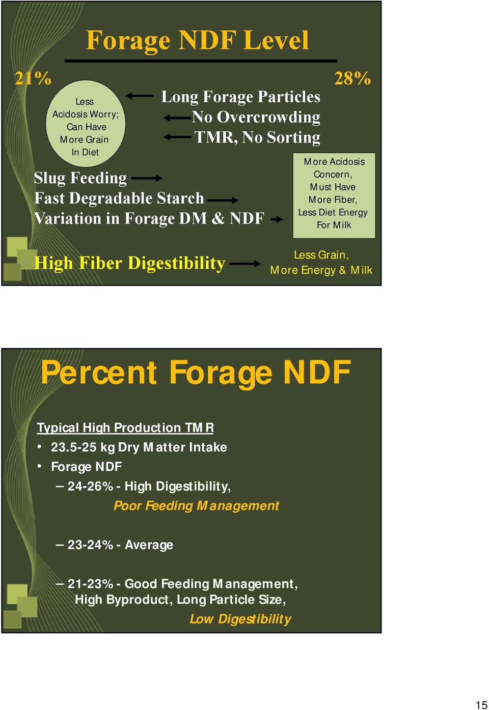Digestibility Less Grain, More Energy & Milk Percent Forage NDF Typical High Production TMR 23.