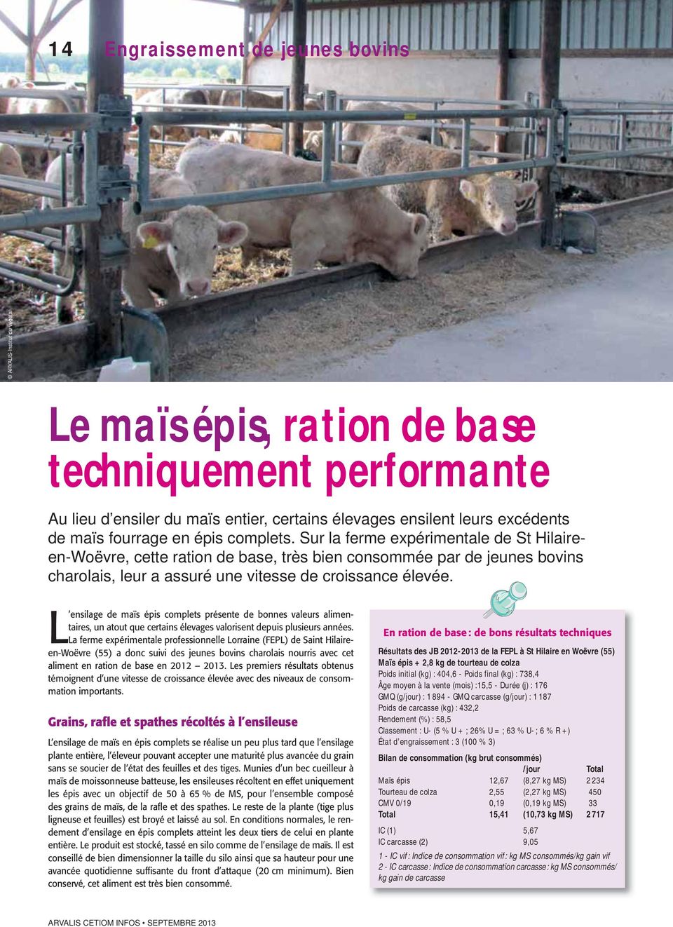 Sur la ferme expérimentale de St Hilaireen-Woëvre, cette ration de base, très bien consommée par de jeunes bovins charolais, leur a assuré une vitesse de croissance élevée.