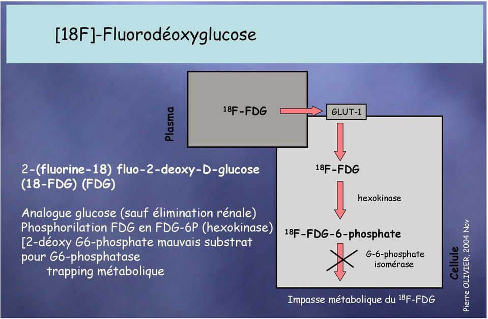 [2-déoxy G6-phosphate mauvais substrat pour G6-phosphatase trapping métabolique 18 F-FDG hexokinase