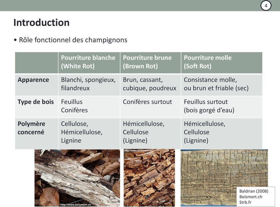 (sec) Type de bois Feuillus Conifères Conifères surtout Feuillus surtout (bois gorgé d eau) Polymère concerné Cellulose,