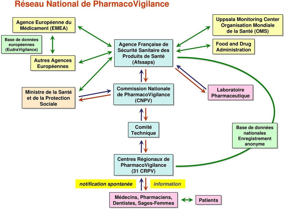 Ministre de la Santé et de la Protection Sociale Commission Nationale de PharmacoVigilance (CNPV) Laboratoire Pharmaceutique Comité Technique Base de données
