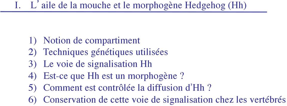 signalisation Hh 4) Est-ce que Hh est un morphogène?
