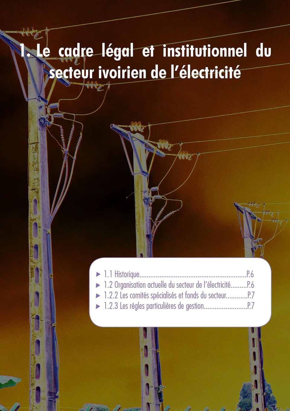 2 Organisation actuelle du secteur de l électricité...p.6 1.2.2 Les comités spécialisés et fonds du secteur.