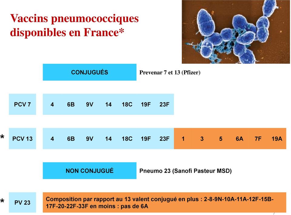 CONJUGUÉ Pneumo 23 (Sanofi Pasteur MSD) * PV 23 Composition par rapport au 13