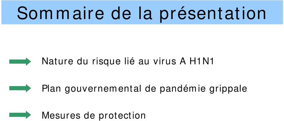 H1N1 Plan gouvernemental de