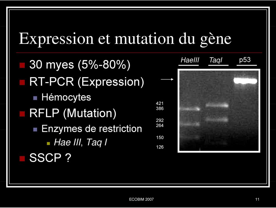 RFLP (Mutation) Enzymes de restriction SSCP?