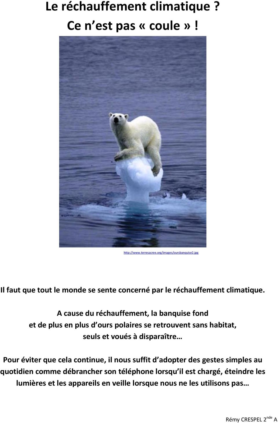 A cause du réchauffement, la banquise fond et de plus en plus d ours polaires se retrouvent sans habitat, seuls et voués à disparaître Pour