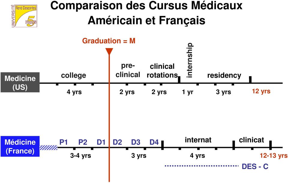 yrs internship 1 yr residency 3 yrs 12 yrs Médicine (France) P1 P2