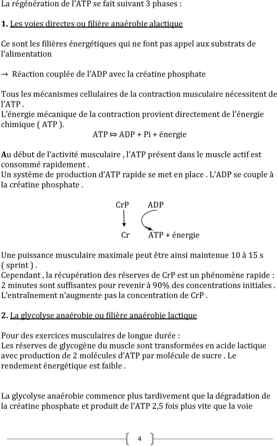 mécanismes cellulaires de la contraction musculaire nécessitent de l ATP. L énergie mécanique de la contraction provient directement de l énergie chimique ( ATP ).
