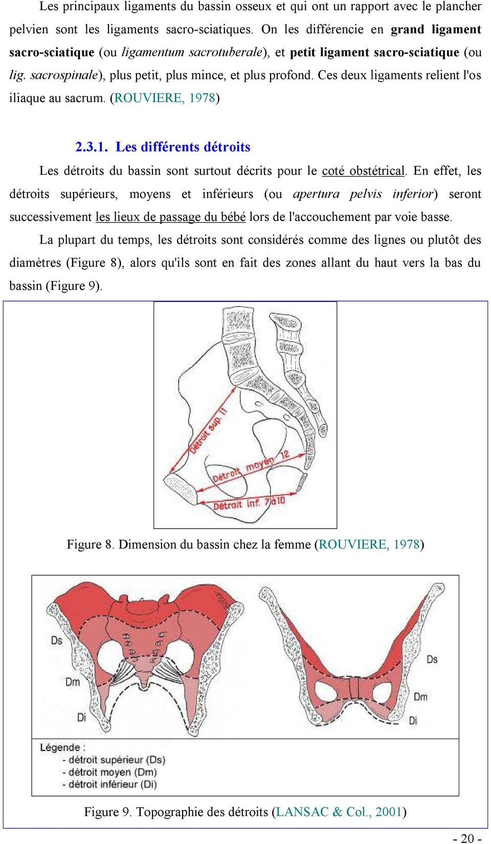 Ces deux ligaments relient l'os iliaque au sacrum. (ROUVIERE, 1978) 2.3.1. Les différents détroits Les détroits du bassin sont surtout décrits pour le coté obstétrical.