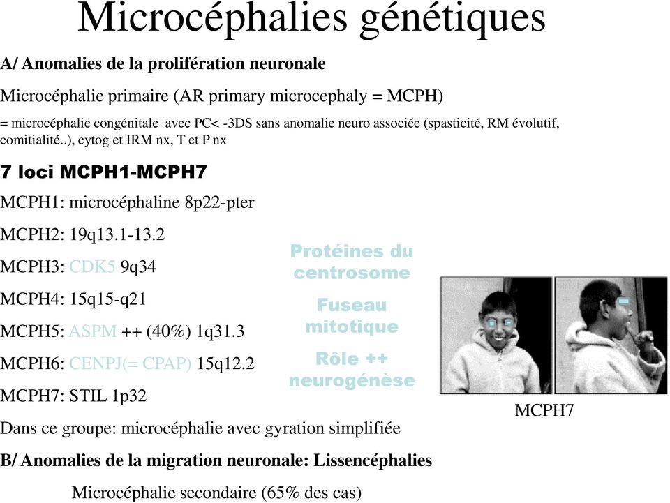 .), cytog et IRM nx, T et P nx 7 loci MCPH1-MCPH7 MCPH1: microcéphaline 8p22-pter MCPH2: 19q13.1-13.2 MCPH3: CDK5 9q34 MCPH4: 15q15-q21 MCPH5: ASPM ++ (40%) 1q31.