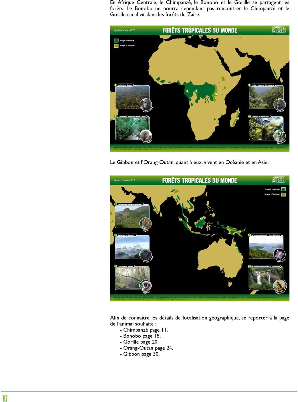 Le Gibbon et l Orang-Outan, quant à eux, vivent en Océanie et en Asie.