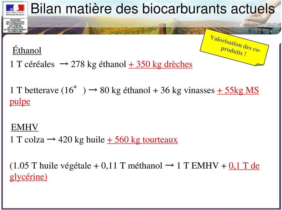 1 T betterave (16 ) 80 kg éthanol + 36 kg vinasses + 55kg MS pulpe EMHV 1 T