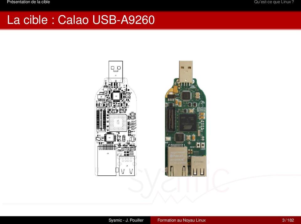 La cible : Calao USB-A9260