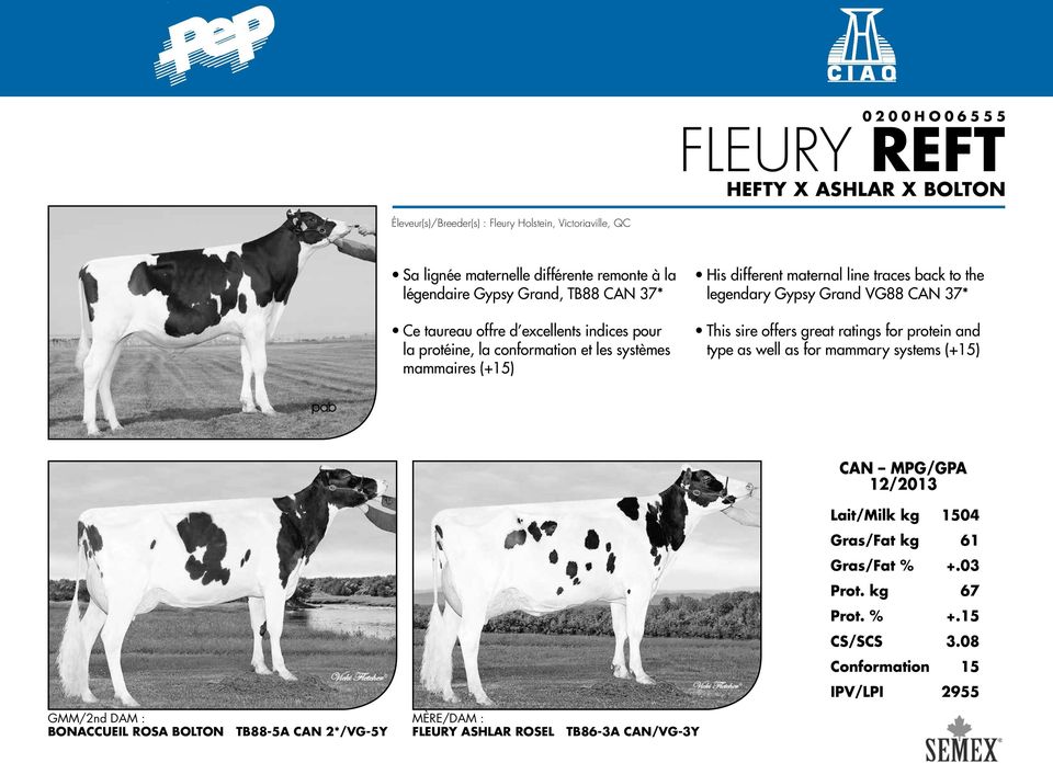 Gypsy Grand VG88 CAN 37* This sire offers great ratings for protein and type as well as for mammary systems (+15) CAN MPG/GPA 12/2013 Lait/Milk kg 1504 Gras/Fat kg 61 Gras/Fat