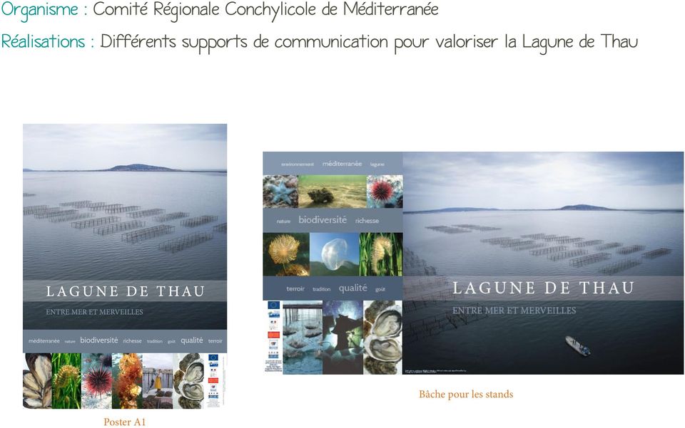 supports de communication pour valoriser la Lagune de Thau Crédit photos : enhaut.org, CRCM, A. Rybnikow, V.