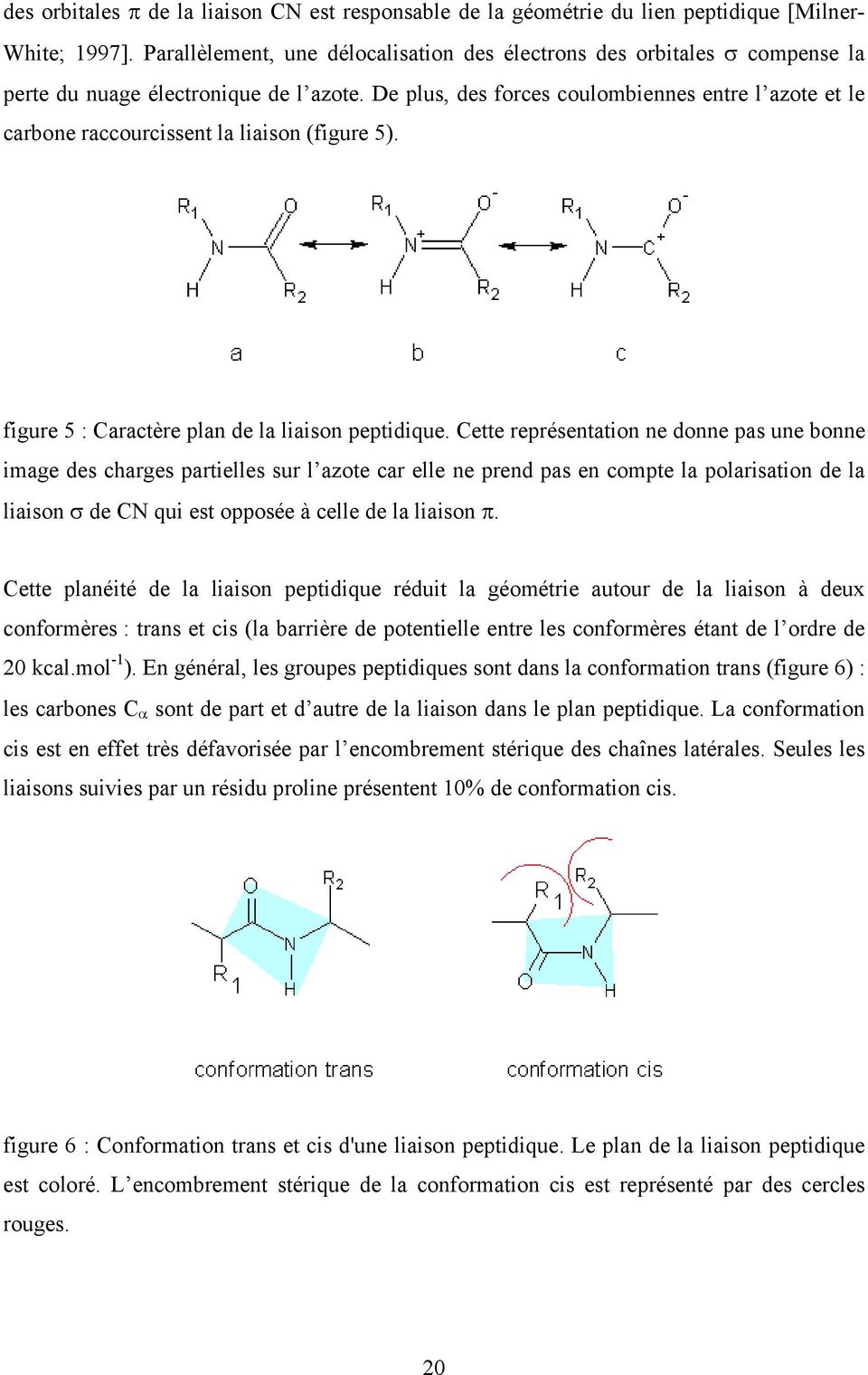 De plus, des forces coulombiennes entre l azote et le carbone raccourcissent la liaison (figure 5). figure 5 : Caractère plan de la liaison peptidique.