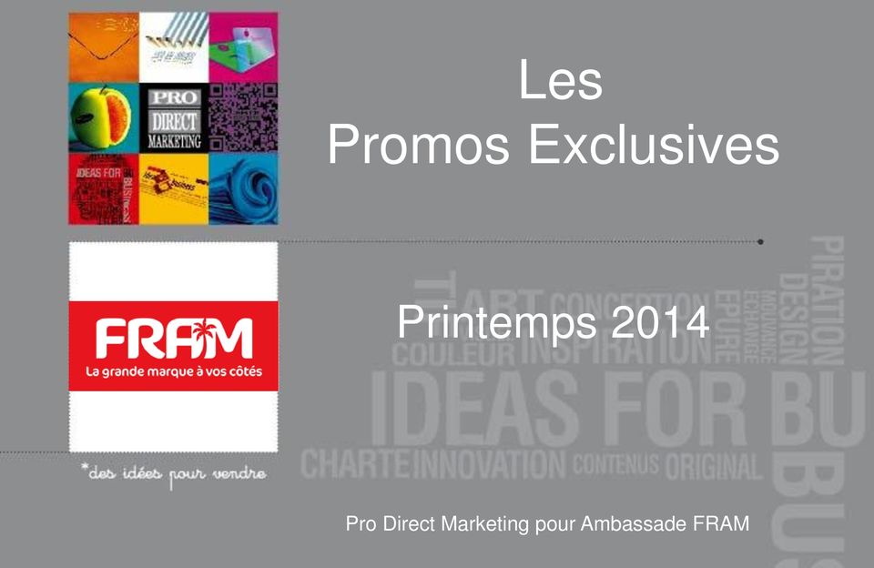 Printemps 2014 Pro